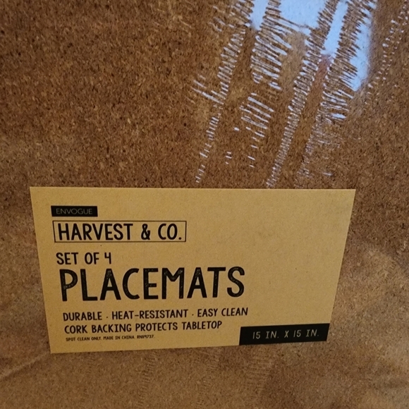 Pumpkin Fall Floral Shape cork Set of 4 Placemats Harvest  Autumn - Picture 3 of 3